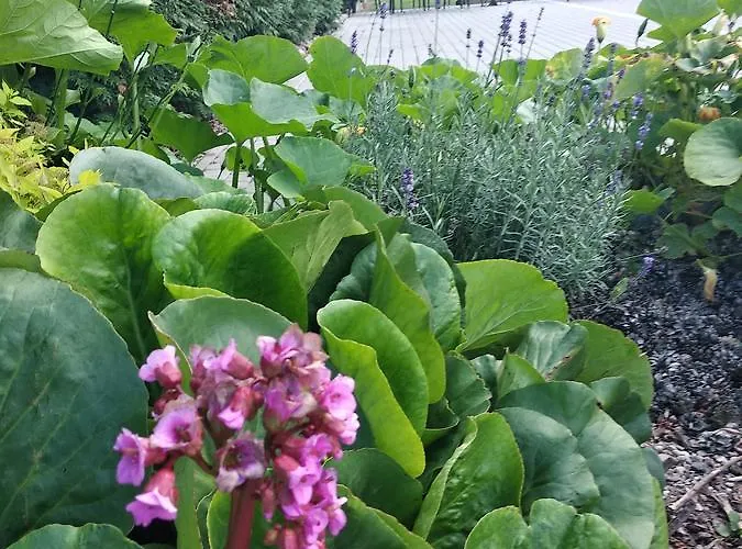 Hotel Swojski Klimat 2*